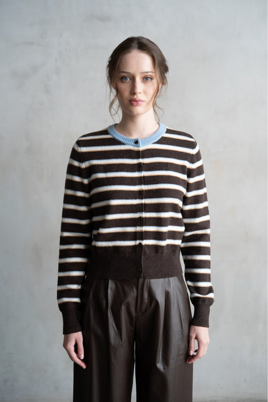 "Complimentary Stripes" Sweater (Brown/Blue)